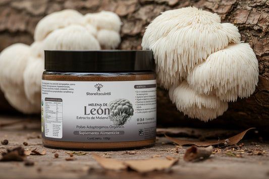 Melena de León orgánica USDA polvo 100g México